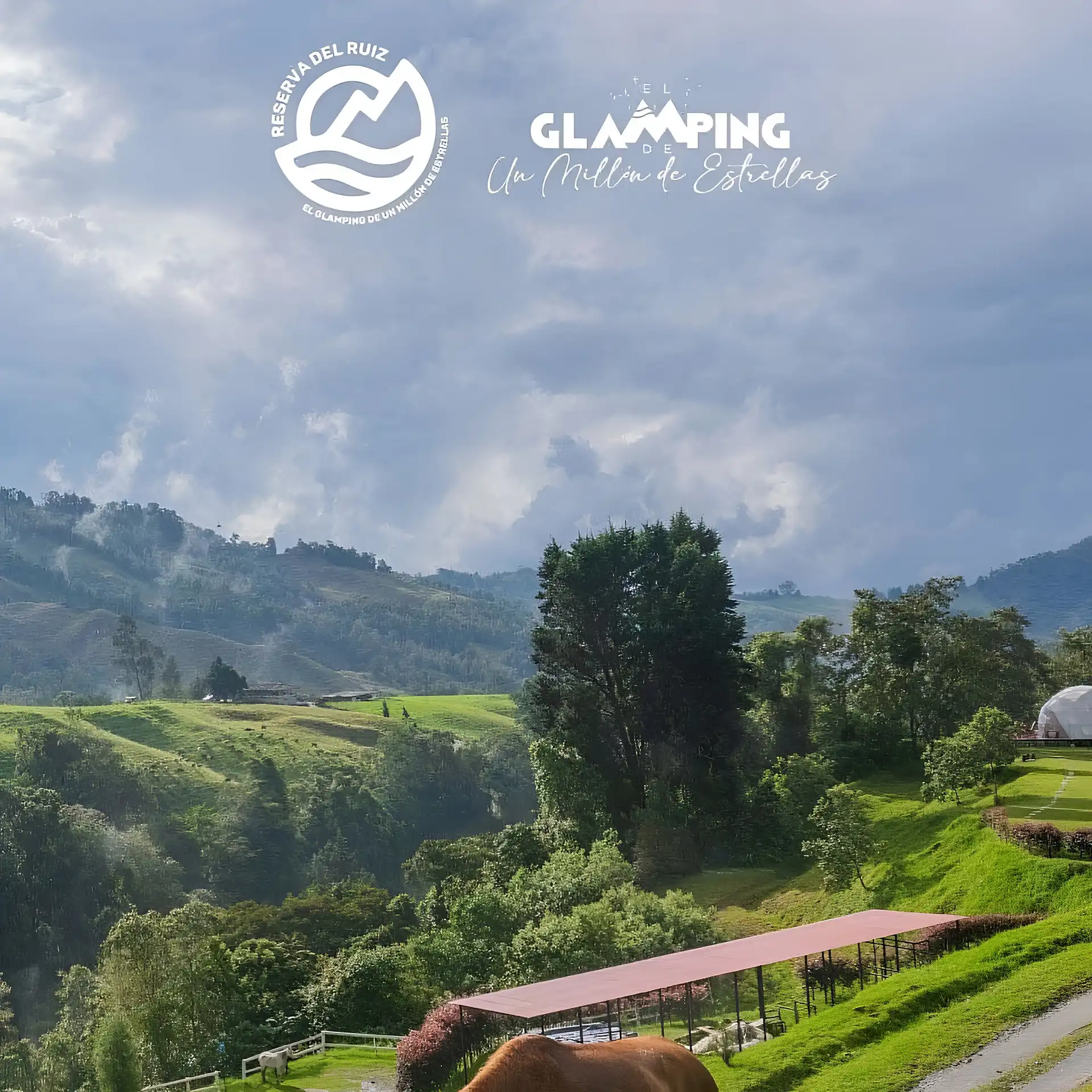 Galería de Glamping Reserva del Ruiz
