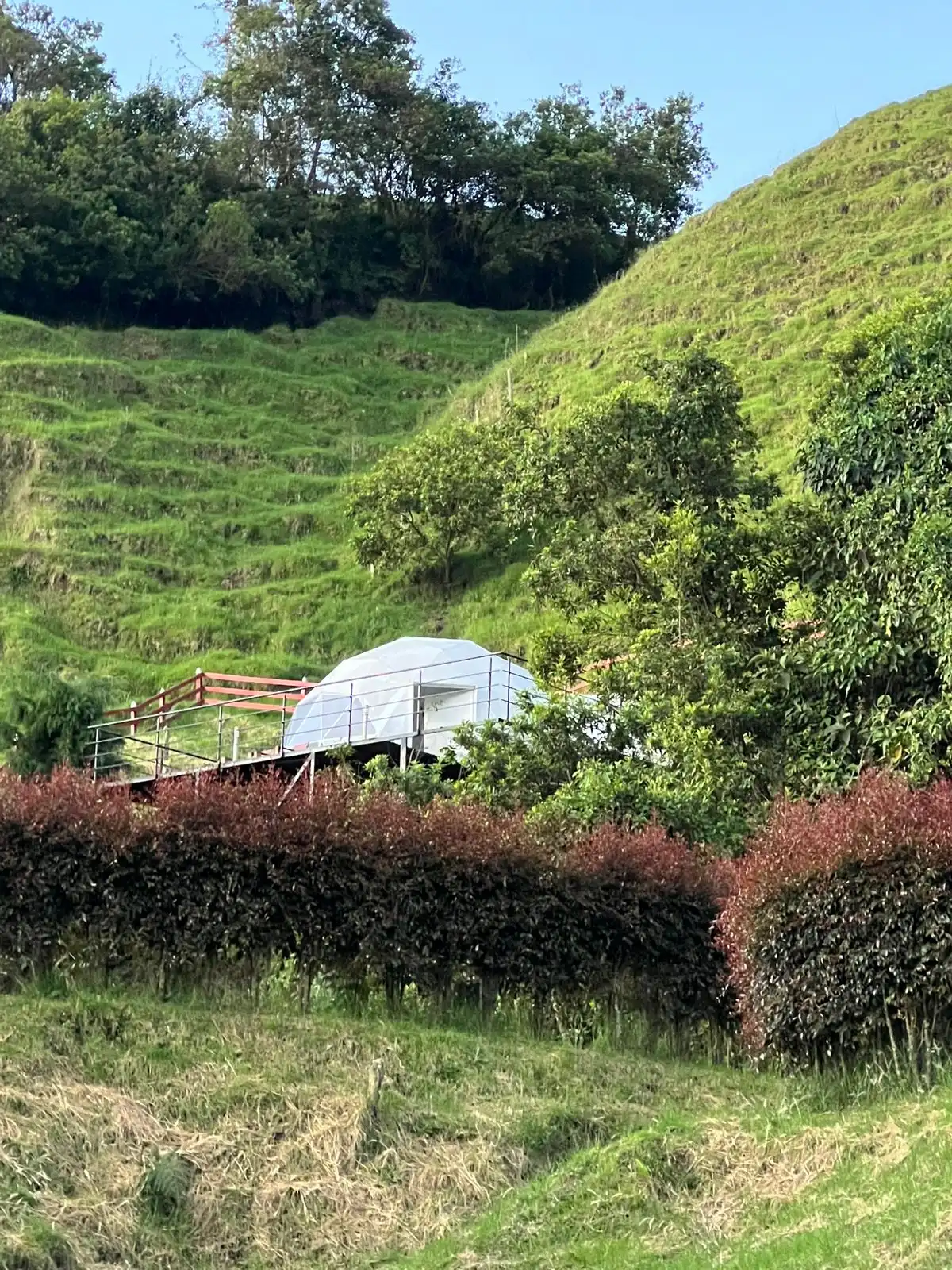 Domo del glamping en la ladera de la vereda Montaño