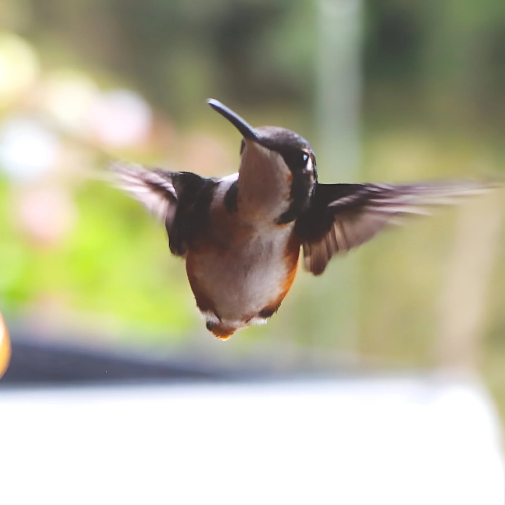 Colibríes glamping, Reserva del Ruiz