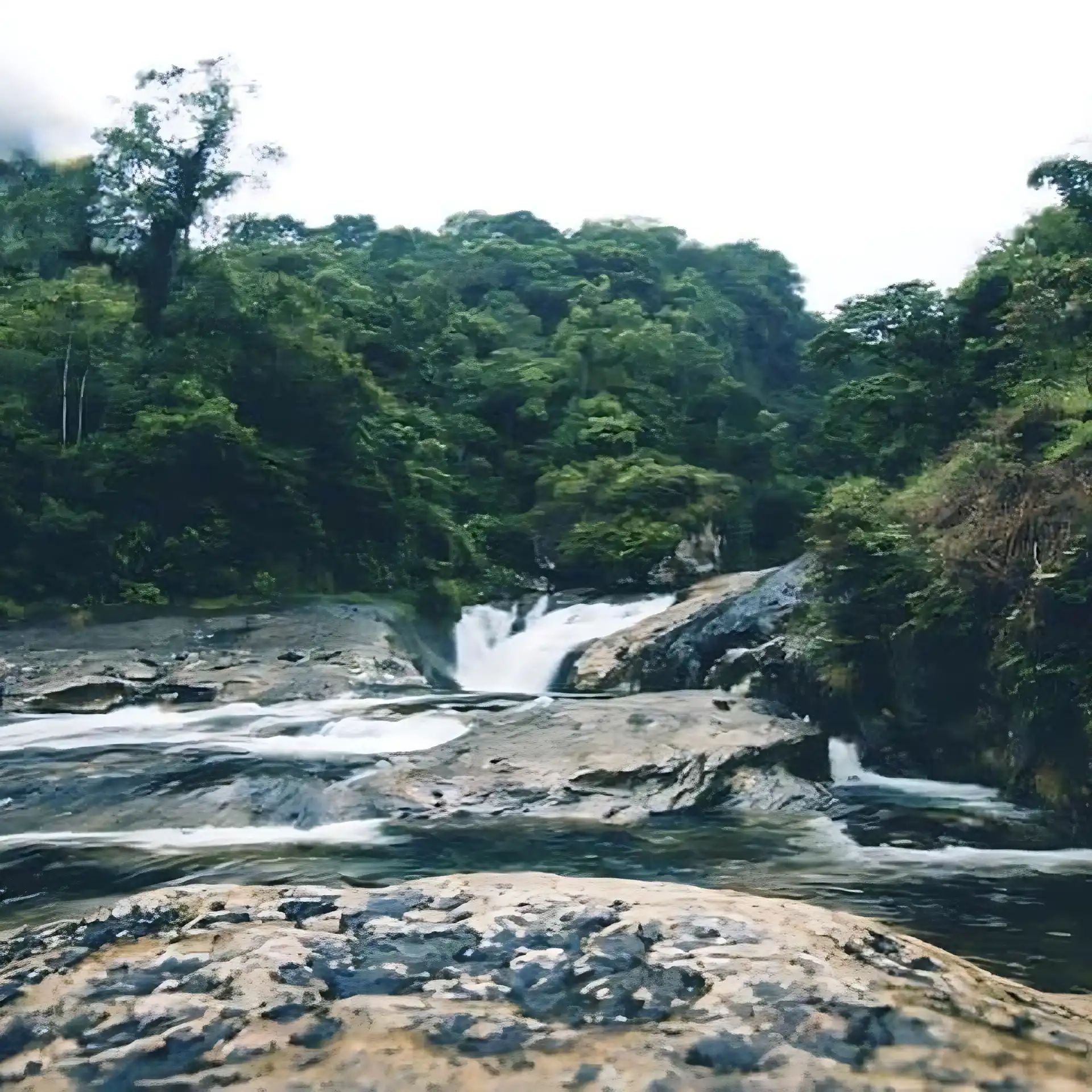 Escapada montaña, Reserva del Ruiz